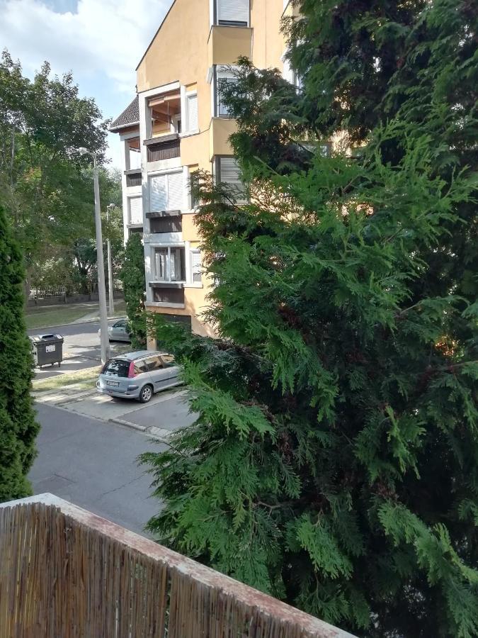 Rokus Apartman Apartment Szeged Ngoại thất bức ảnh